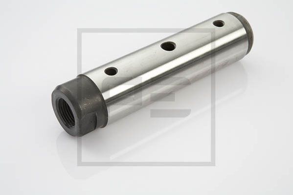 PE AUTOMOTIVE Piduriklotsi poldid 046.059-00A